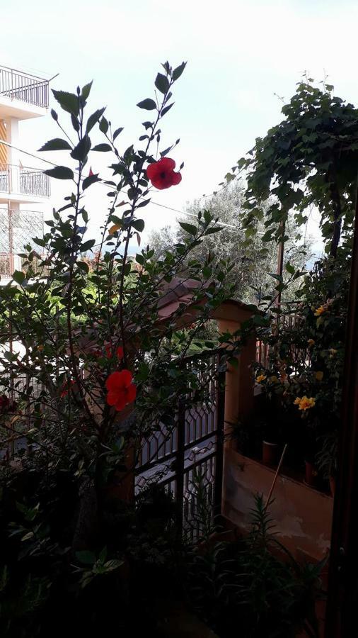 Holiday home Filomena Marina di Camerota